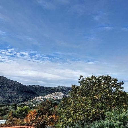 Dimora Palombo Villa Bassiano Esterno foto
